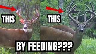 STOP FEEDING DEER PROTEIN PELLETS? WASTE OF MONEY?   HD 1080p