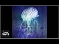 Miniature de la vidéo de la chanson Photosynthesis (Robert Elster Remix)
