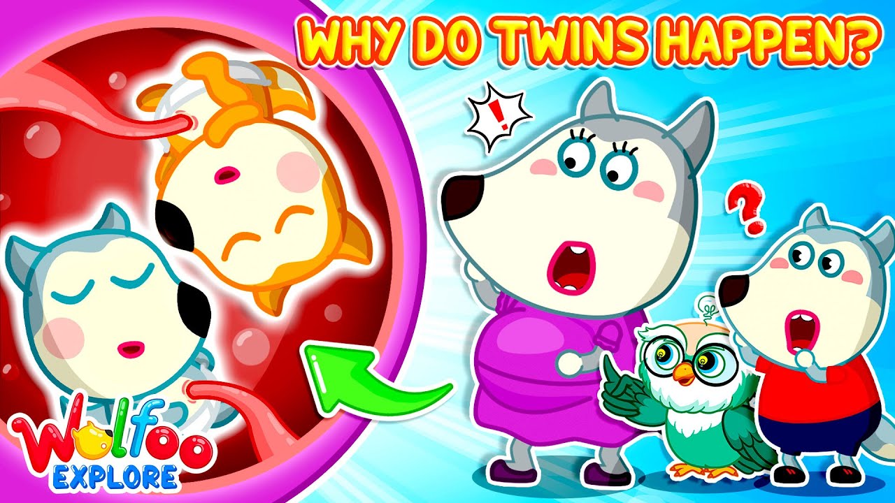 How Twins Are Made? 👶👶 Wolfoo Explore - Human Body | Educational Videos for Kids