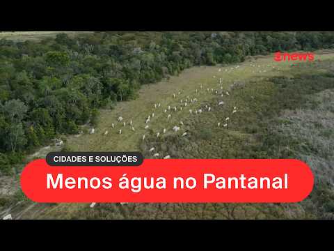Loss of wetlands could push the Pantanal to a point of no return