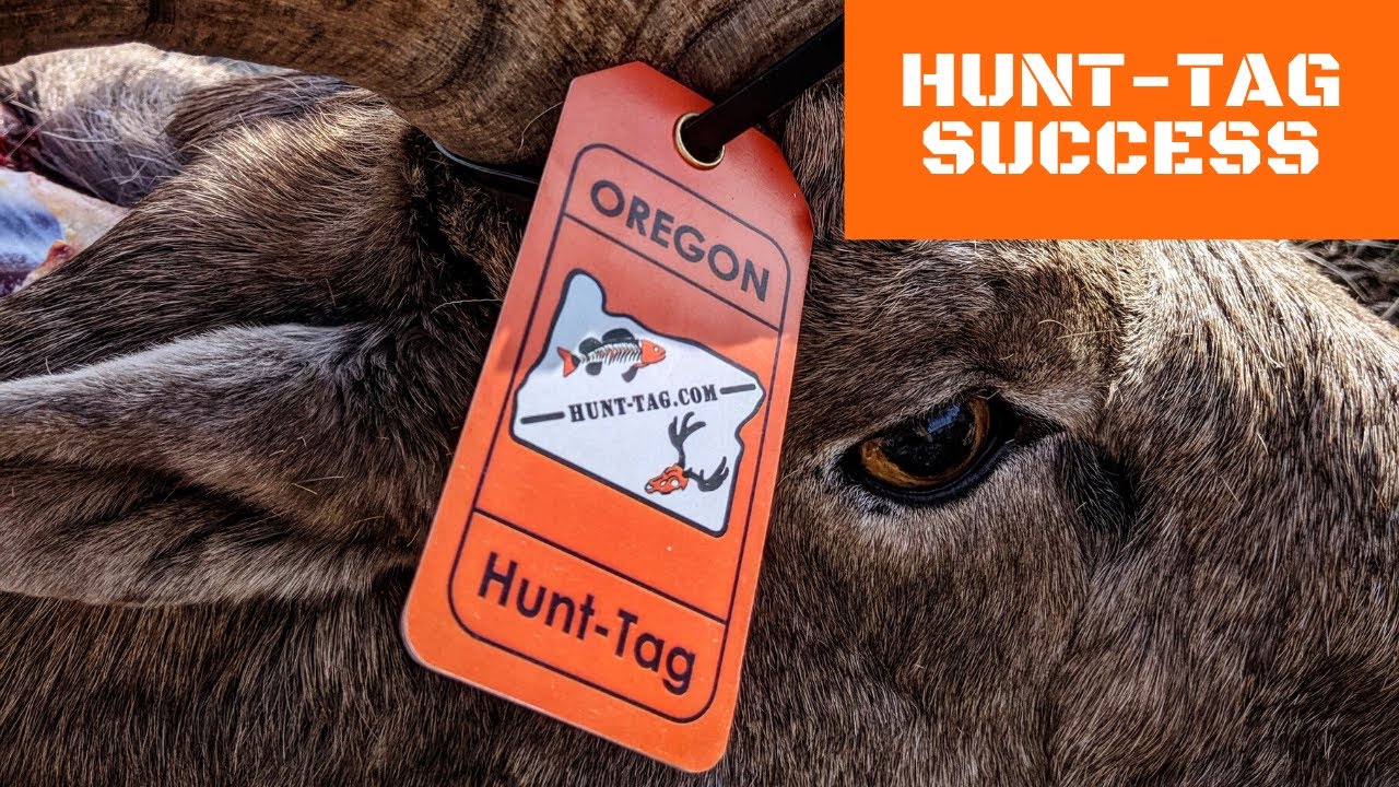 Hunt-Tag Customer Success