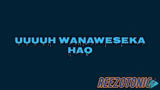 Rayvanny - WANAWEWESEKA ( official lyric video )