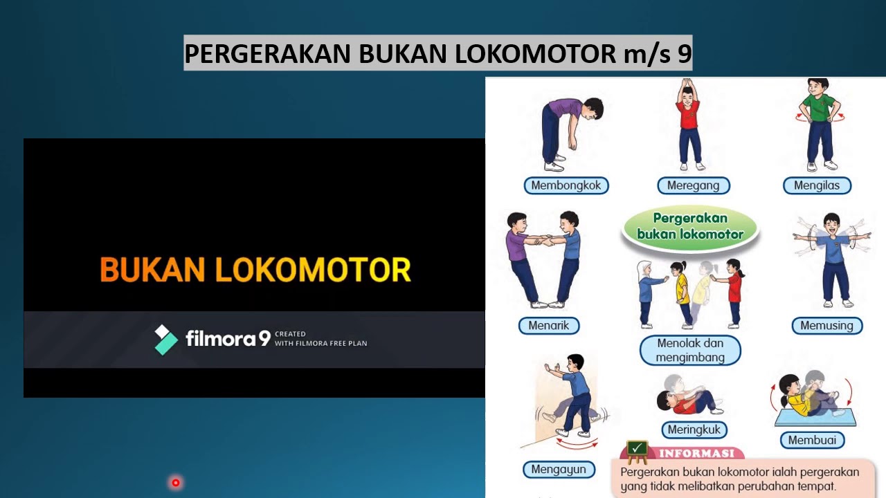 Unit 2 Pj Tahun 2 Lokomotor Dan Bukan Lokomotor Youtube