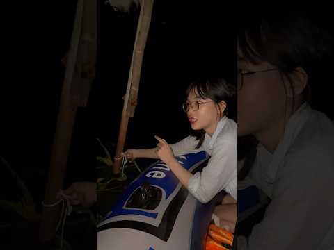 Thu hoạch cá P2#mayfishing
