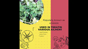 Ajwain (Carom Seeds)