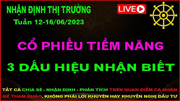 3 Dấu hiệu nhận biết cổ phiếu tiềm năng | Nhận định thị trường tuần 12-16/06