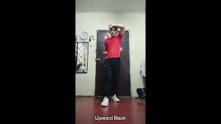 PATHFIT 4 Activity 2 Basic Defense. FUENTES, CARL JOSHUA L.  BIT 2-C