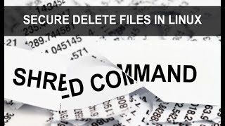 🧨 How to Permanently Delete Files (LEAVE NO TRACE) | Shred Command in Kali Linux