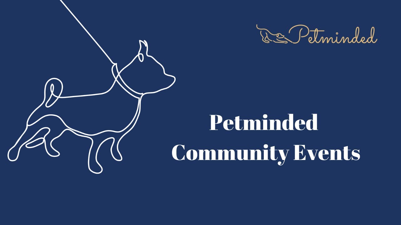 Petminded Presents The Science of Canine Play with Sophie Barton