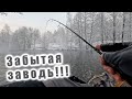 ПОКЛЁВКА НА КАЖДОМ ЗАБРОСЕ!!! ЗДЕСЬ ДОХРЕНА ОКУНЯ!!! РЫБАЛКА В ДАВНО ЗАБЫТОЙ ЗАВОДИ!!!
