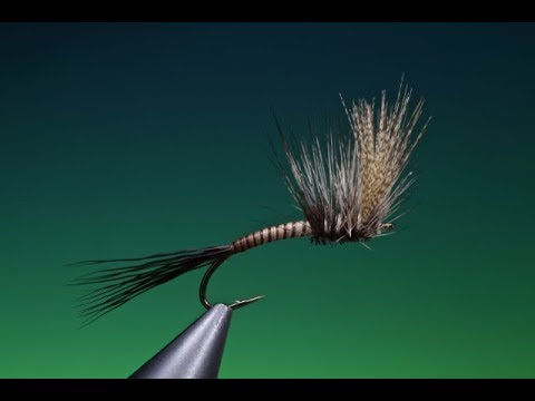 Fly Tying the Mayfly Dun with Barry Ord Clarke - YouTube