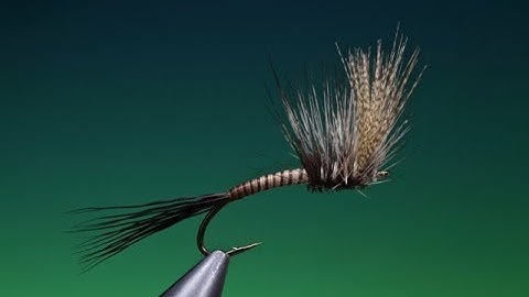 Fly Tying the Mayfly Dun with Barry Ord Clarke