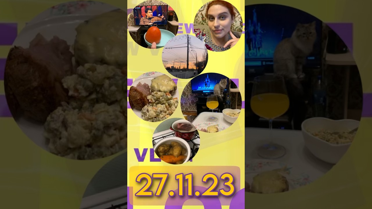 Mini-VloG за 27.11.23 Наготовила. Оливье с говядиной. Ирония судьбы. 