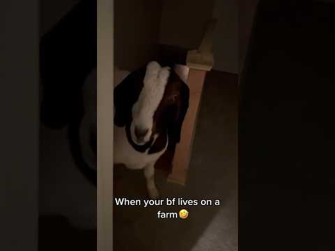 Bro lives with Messi😭 #comedy #funnyshorts