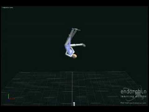 Fun with ragdolls-Endorphin