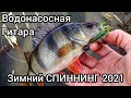 Зимний спининнг 2021. Рыбалка на Днестре Маяки/ Водонасосная/ Гитара.