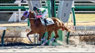 3歳新馬　ダ1800m (右)　ジーティーアグリム　牝3　55　丸田恭介　2024.1.8　　出走馬：ノーブルブランカ、リフレイン、サンロレンツォ、エピックストーリー、ステラカフェ、ゴールデンモモコ他