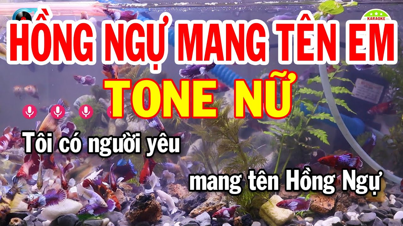 Karaoke Hồng Ngự Mang Tên Em Tone Nữ ( B ) Nhạc Sống Dễ Hát 2023 | Karaoke Xóm Lộ
