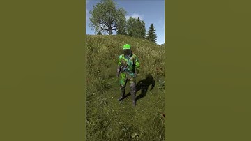 Kick Hamzat! (GREEN CAMOUFLAGE!) #rust #rustskins #rustshorts #rustclips #twitch #shorts