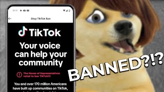 Lil doge and the TikTok ban