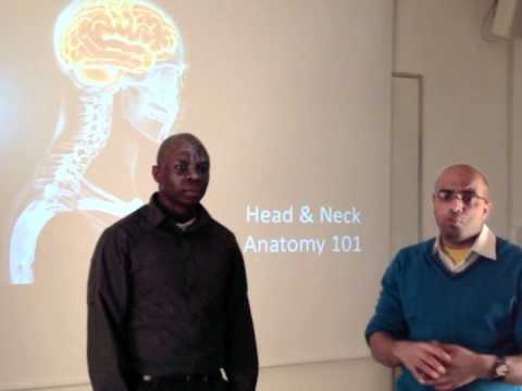 Introduction -- Head and Neck Anatomy 101 - YouTube