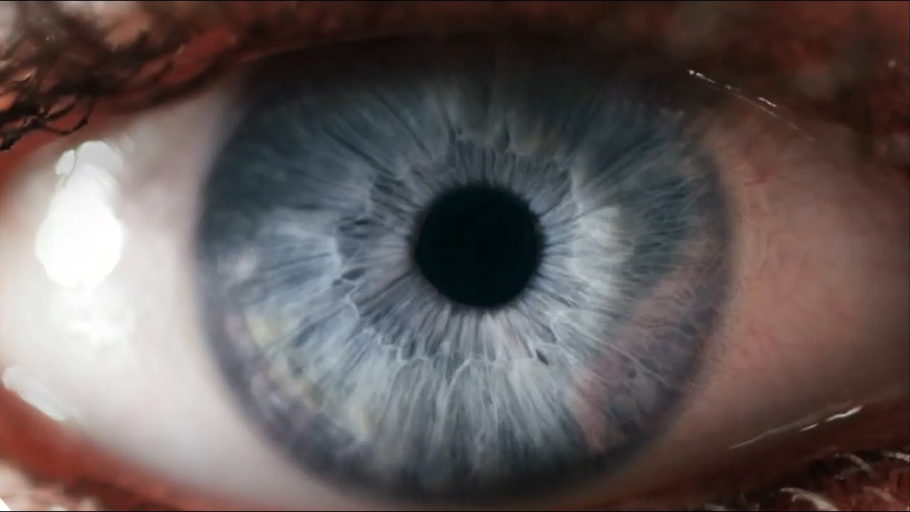 GEDEON DOC - The world unfolds before your eyes