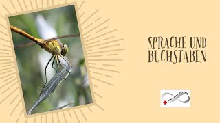 Material zur Sprachförderung DRK Autismus Ambulanz Norden Material zur Sprachförderung DRK Autismus Ambulanz Norden