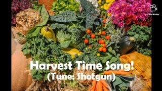 Harvest Time Song (Tune: Shotgun/George Ezra) Harvest Celebration - Rhona Alcorn