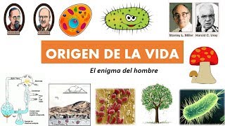 Origin of Life (Easy to Learn) Origin of Life (Easy to Learn)