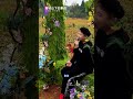 中国古典「白蛇伝」:青城山から始まる恋と運命 - 王添翼