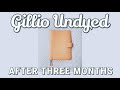 Gillio Undyed Appunto: 3 Months of Use