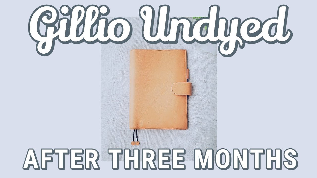 Gillio Undyed Appunto: 3 Months of Use