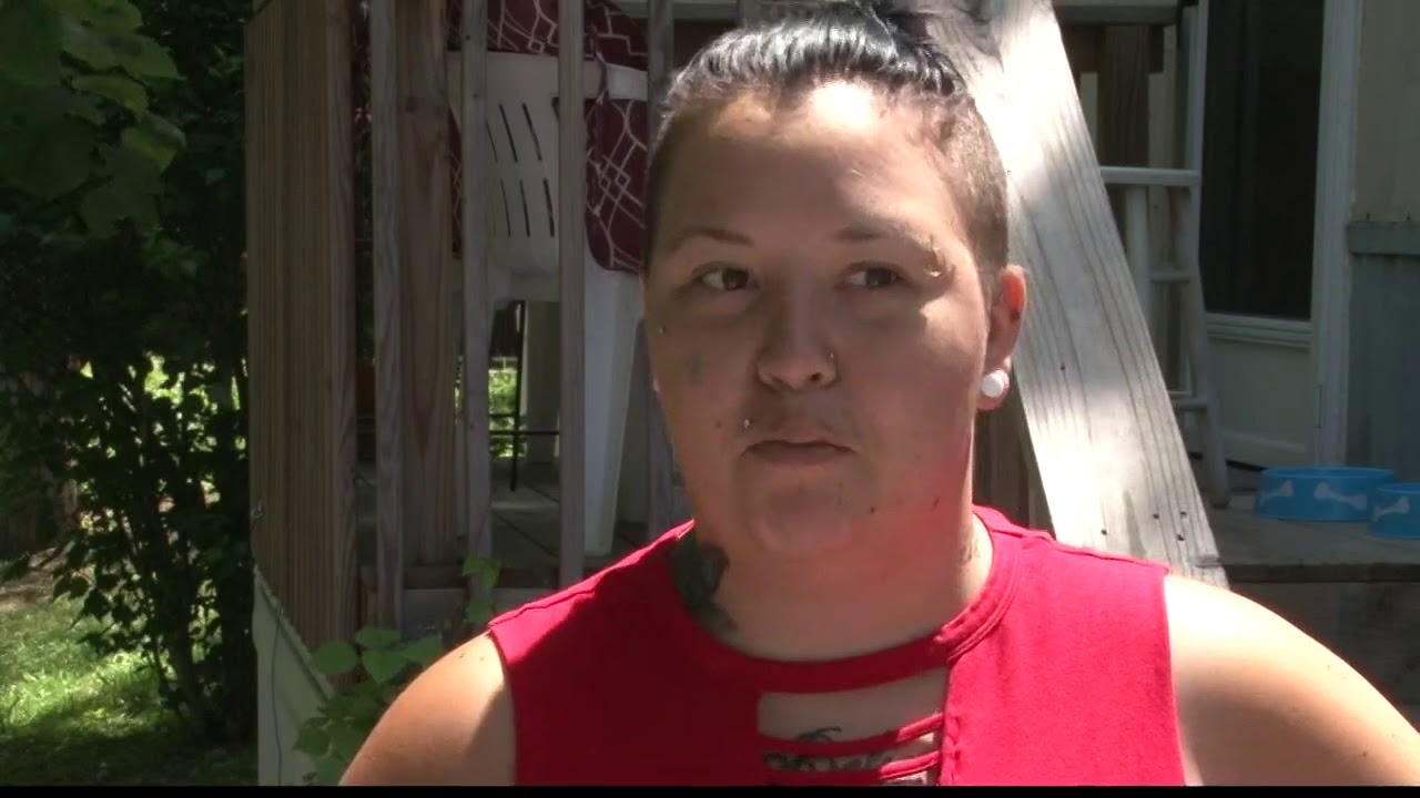 2 bears spotted in Pevely mobile home park YouTube