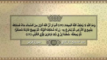 تلاوة من صلاة الصبح ما تيسر من سورة الزمر - القارئ عبد السميع المراكشي