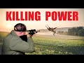 KILLING POWER: Can It Be Measured?