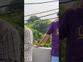 Bhiya ✅ Best Friend ✅🤣 | Rahul Lamani #banjara #vlog #minivlog #farming #gorbanjara #shorts #trend