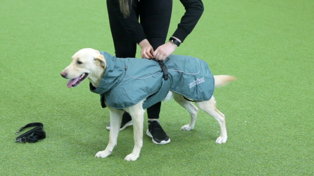 Rukka dierenkleding Honden Warme kopen? | Vergelijk