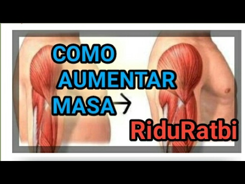 exercise 14.1 class 11 EJERCICIOS PARA AUMENTAR MASA MUSCULAR RAPIDAMENTE SIN GIMNASIO - RIDU RATBI El Chico Fitness