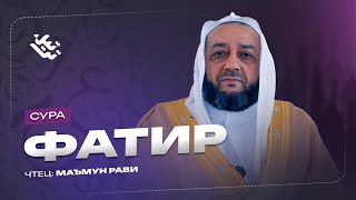 Сура Фатир/ Шейх Маъмун Рави. سورة فاطر / الشيخ مأمون الراوي