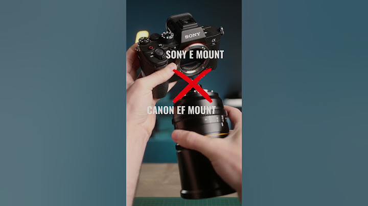What's a Lens Mount Adapter? 🤔📸 - 天天要聞