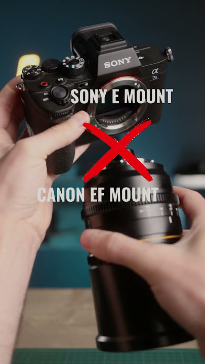 What's a Lens Mount Adapter? 🤔📸