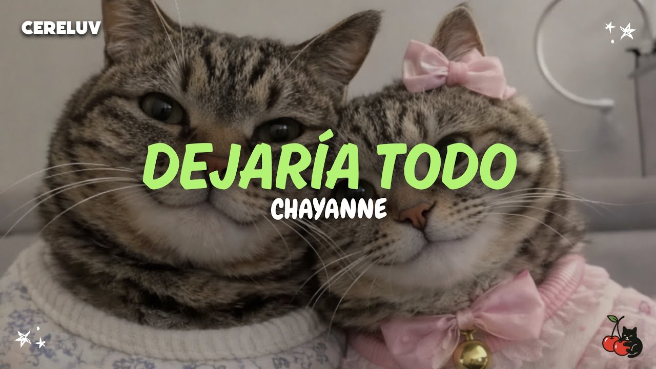 Chayanne - Dejaría Todo (Letra)