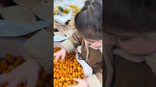 Kumkat Görünce Derin Şfet