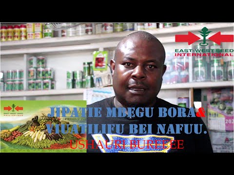 Video: Mbegu Bora Zaidi Kwa Lishe Yako Ya Kila Siku