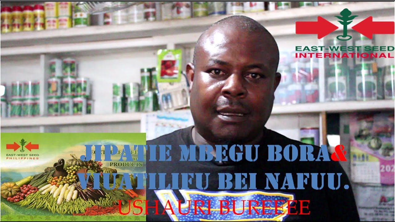 KWA KILIMO BORA CHA MBOGA MBOGA TUMIA MBEGU BORA ZA EAST WEST SEED TANZANIA