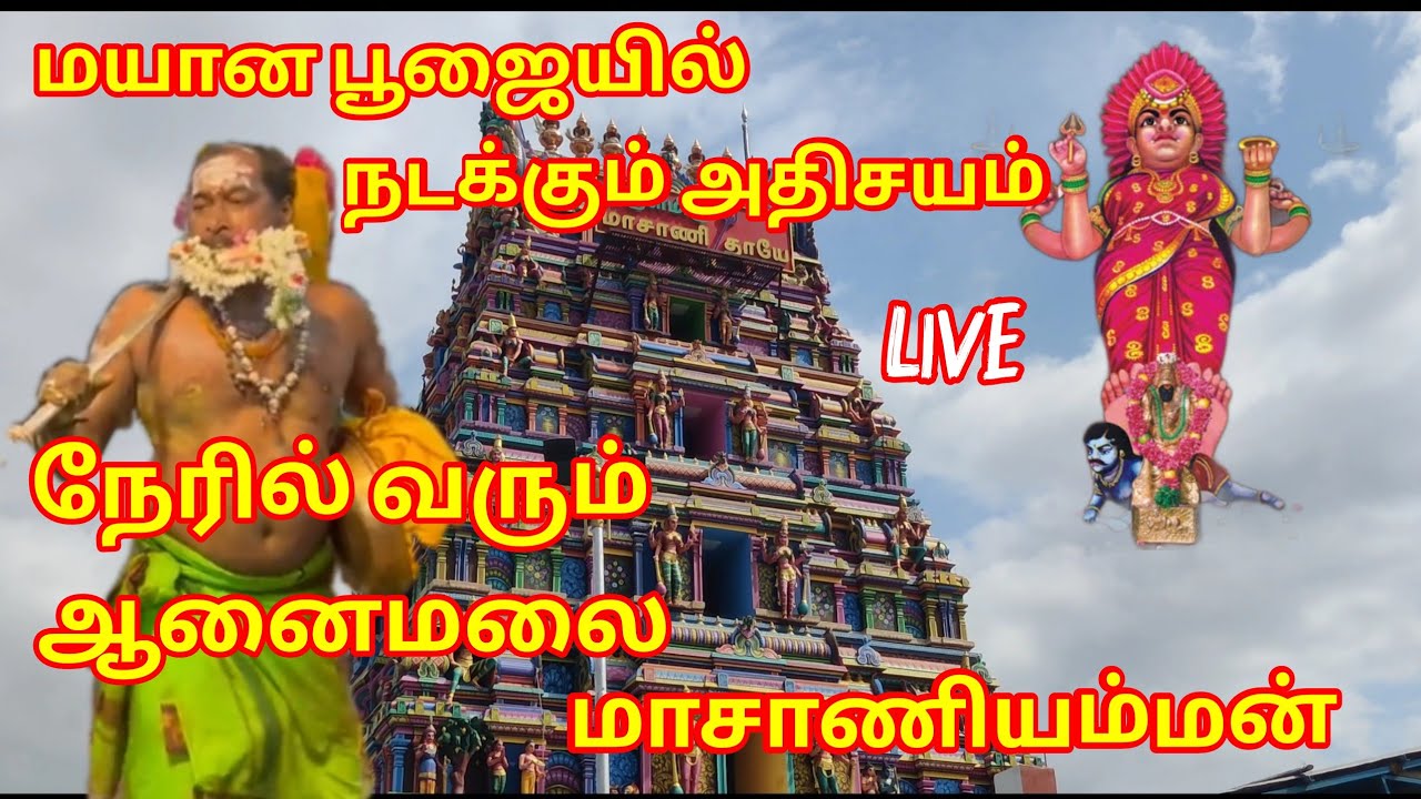 மயான பூஜையில் நடக்கும் அதிசயம்/நேரில் வரும் ஆனைமலை மாசாணியம்மன்/Mayana Poojai #livetrading#siddhar#