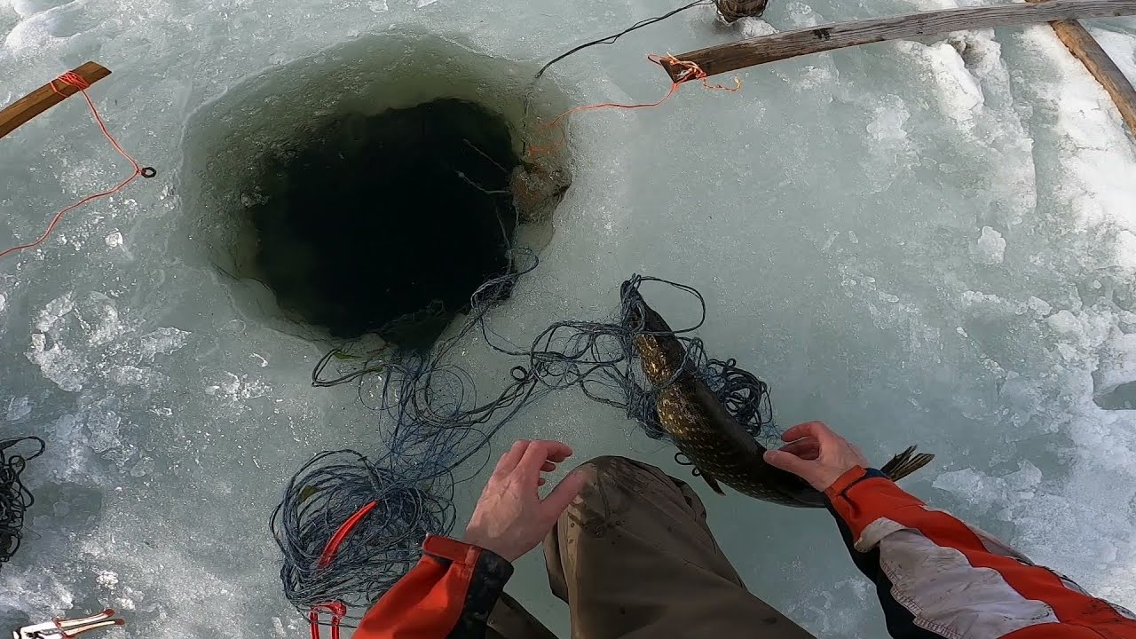 Verkkokalastusta Kitkajärvellä. Osa 79 - kalastuskauden aloitus ja uusi haaste.