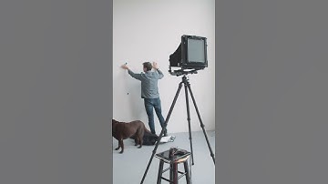 8x10 Self Portrait #selfportraits #selfphotography