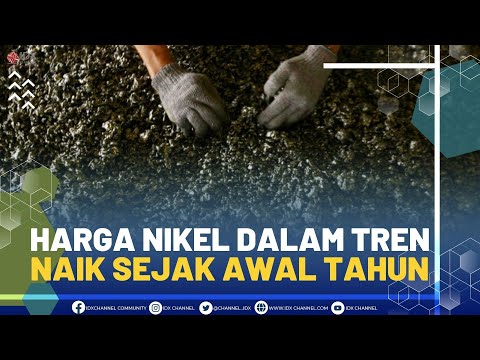 HARGA NIKEL DALAM TREN NAIK SEJAK AWAL TAHUN