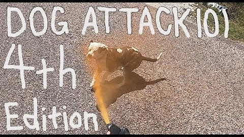 DOG ATTACK 101 for Cyclists: 4th Edition w/Aaron Smith of Gainesville TX/Cooke County/Callisburg TX